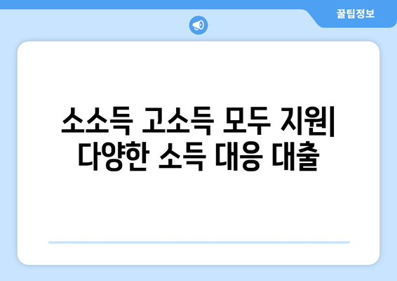 소소득 고소득 모두 지원| 다양한 소득 대응 대출