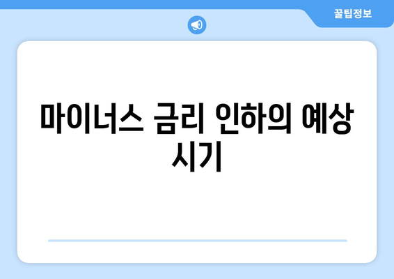 마이너스 금리 인하의 예상 시기