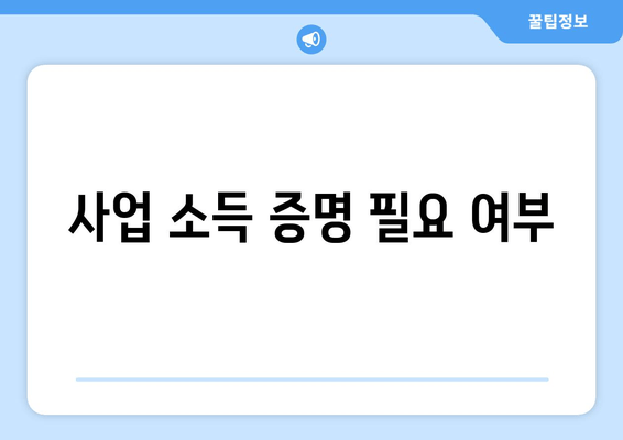 사업 소득 증명 필요 여부