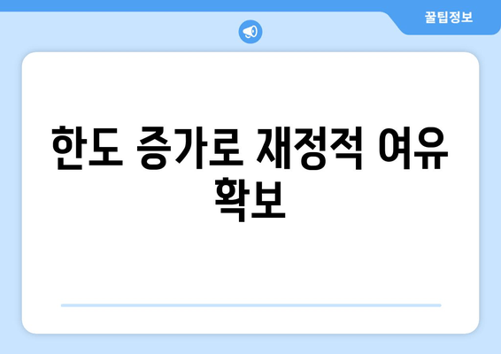 한도 증가로 재정적 여유 확보