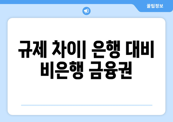 규제 차이| 은행 대비 비은행 금융권