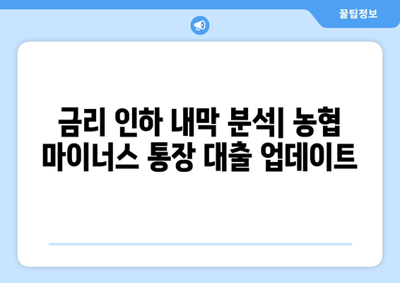 금리 인하 내막 분석| 농협 마이너스 통장 대출 업데이트