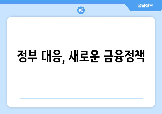 정부 대응, 새로운 금융정책