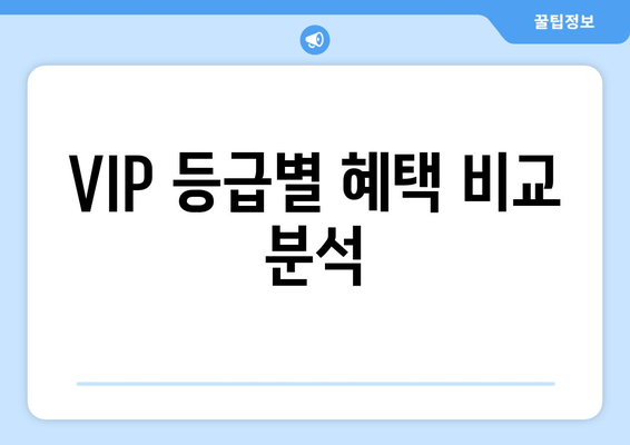 VIP 등급별 혜택 비교 분석