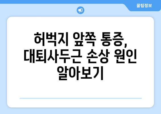 허벅지 앞쪽 통증의 주요 원인| 대퇴사두근 손상 | 운동, 재활, 예방