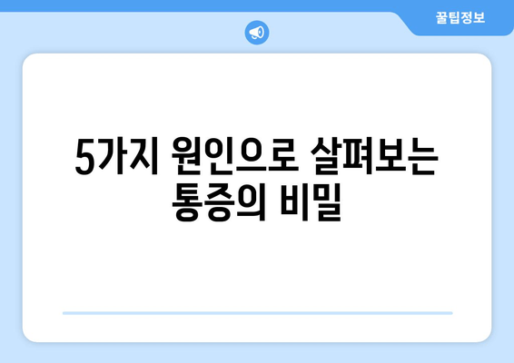 장시간 보행 후 허벅지 바깥쪽 통증의 원인| 5가지 가능성과 해결책 | 통증, 근육, 운동, 스트레칭, 치료