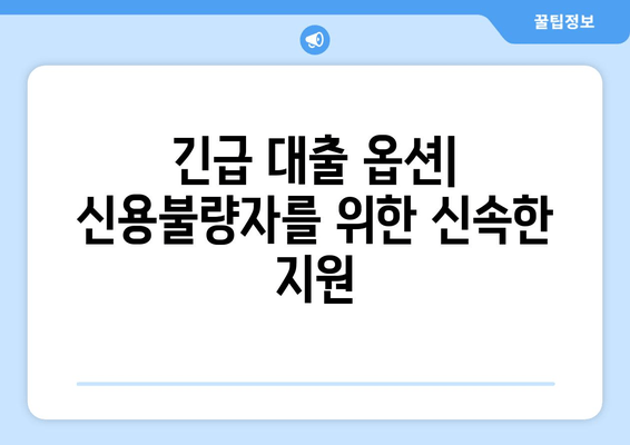 긴급 대출 옵션| 신용불량자를 위한 신속한 지원