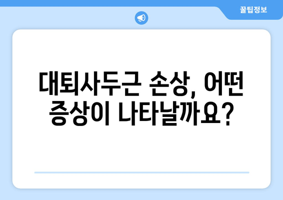 허벅지 앞쪽 통증, 대퇴사두근 손상 의심되세요? | 원인, 증상, 치료, 예방