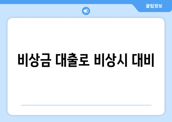 비상금 대출로 비상시 대비