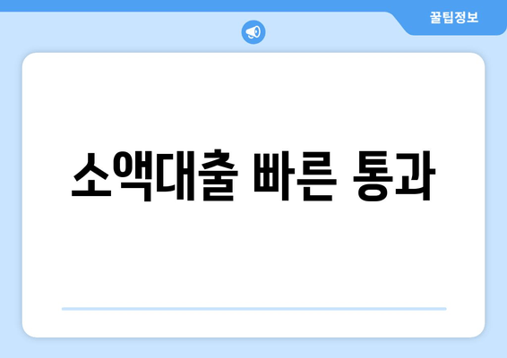 소액대출 빠른 통과