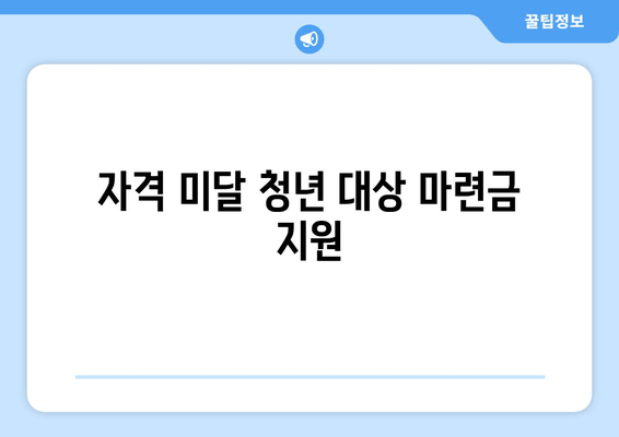 자격 미달 청년 대상 마련금 지원