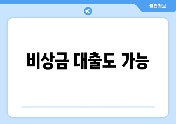 비상금 대출도 가능