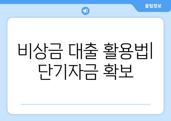 비상금 대출 활용법| 단기자금 확보