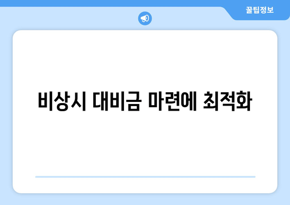 비상시 대비금 마련에 최적화