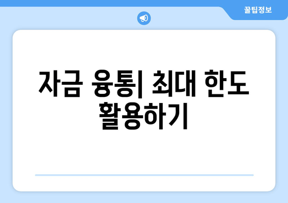 자금 융통| 최대 한도 활용하기