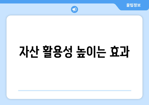 자산 활용성 높이는 효과