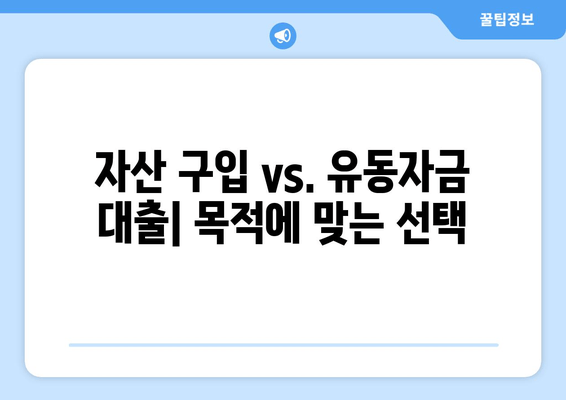 자산 구입 vs. 유동자금 대출| 목적에 맞는 선택