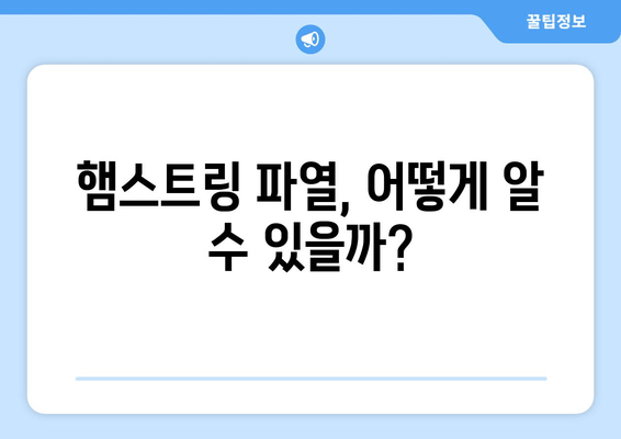 허벅지 햄스트링 통증, 파열 증상과 치료법| 원인 분석부터 완벽 회복까지 | 햄스트링 통증, 햄스트링 파열, 스포츠 부상, 운동 재활