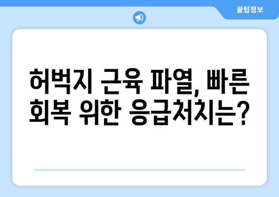 허벅지 근육 파열, 증상과 회복 방법 완벽 가이드 | 운동 부상, 재활, 예방 팁