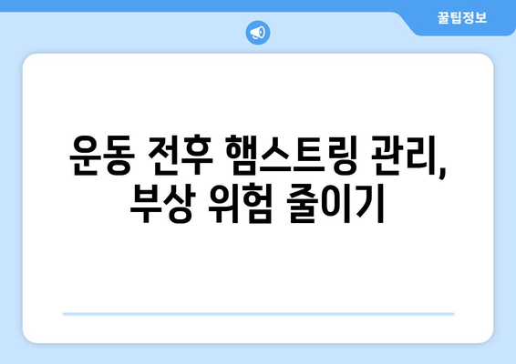 허벅지 햄스트링 통증, 파열 증상 완벽 해결! 효과적인 치료 및 예방 가이드 | 햄스트링 통증, 근육 파열, 스트레칭, 운동