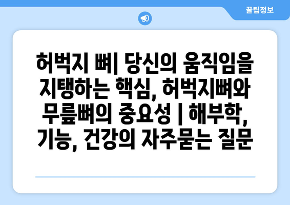 허벅지 뼈| 당신의 움직임을 지탱하는 핵심, 허벅지뼈와 무릎뼈의 중요성 | 해부학, 기능, 건강