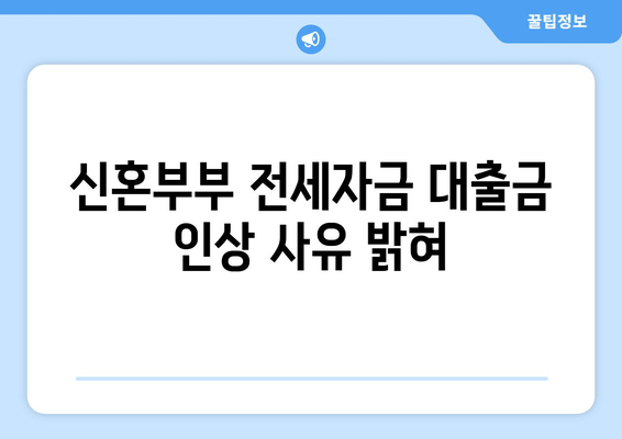 신혼부부 전세자금 대출금 인상 사유 밝혀