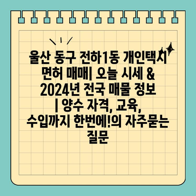 울산 동구 전하1동 개인택시 면허 매매| 오늘 시세 & 2024년 전국 매물 정보 | 양수 자격, 교육, 수입까지 한번에!