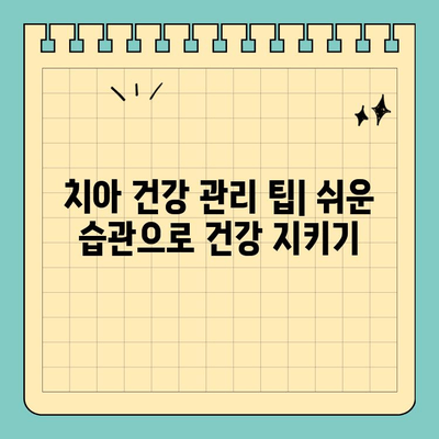 판교 판교치과 맞춤 진료로 나에게 딱 맞는 치과 건강 관리 시작하기 | 치과 추천, 진료 상담, 건강 관리 팁