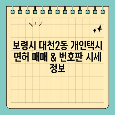 보령시 대천2동 개인택시 면허 매매 & 번호판 시세 (오늘) | 양수 자격, 교육, 수입, 전국 매물 정보 2024