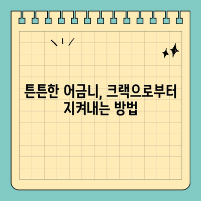 판교 치과에서 알려주는 초기 어금니 크랙 예방 가이드 | 어금니, 크랙, 치아 건강, 판교