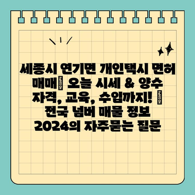 세종시 연기면 개인택시 면허 매매| 오늘 시세 & 양수 자격, 교육, 수입까지! | 전국 넘버 매물 정보 2024