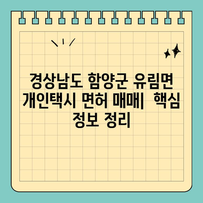 경상남도 함양군 유림면 개인택시 면허 매매| 오늘 시세, 양수 자격, 교육, 수입 정보 | 전국 매물 현황 (2024년)