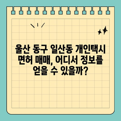 울산 동구 일산동 개인택시 면허 매매| 오늘 시세, 양수 자격, 교육, 수입, 매물 정보! | 2024년 최신 가이드