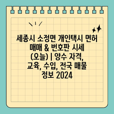 세종시 소정면 개인택시 면허 매매 & 번호판 시세 (오늘) | 양수 자격, 교육, 수입, 전국 매물 정보 2024