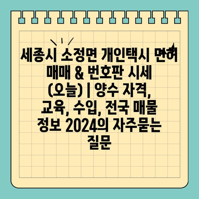 세종시 소정면 개인택시 면허 매매 & 번호판 시세 (오늘) | 양수 자격, 교육, 수입, 전국 매물 정보 2024