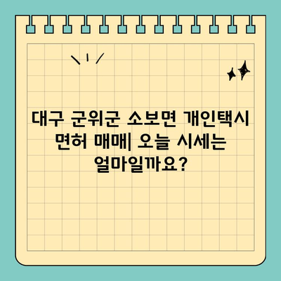 대구 군위군 소보면 개인택시 면허 매매| 오늘 시세 & 양수 자격, 교육, 수입 정보 | 전국 개인택시 넘버 매물 2024