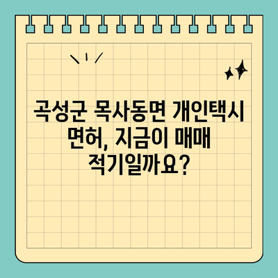 전라남도 곡성군 목사동면 개인택시 면허 매매| 오늘 시세 & 양수 정보 | 번호판 가격, 교육, 수입, 전국 매물 2024