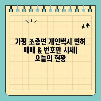 가평 조종면 개인택시 면허 매매 & 번호판 시세 (오늘 기준) | 양수 자격, 교육, 수입, 전국 매물 정보