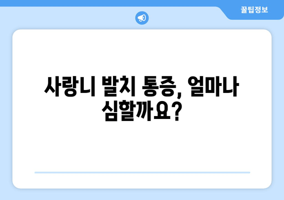 사랑니 발치, 꼭 해야 할까요? | 사랑니 발치 기준, 통증, 비용, 주의사항