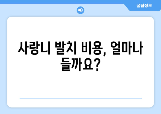 사랑니 발치, 꼭 해야 할까요? | 사랑니 발치 기준, 통증, 비용, 주의사항