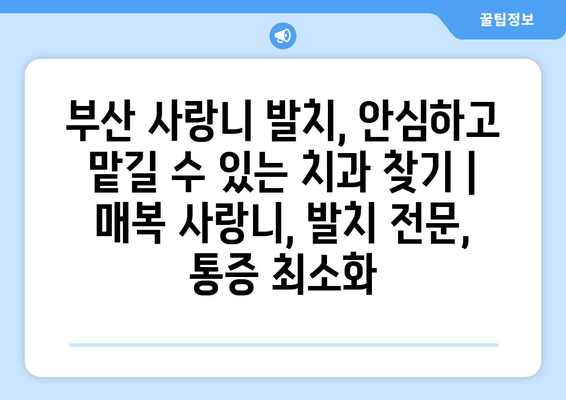 부산 사랑니 발치, 안심하고 맡길 수 있는 치과 찾기 | 매복 사랑니, 발치 전문, 통증 최소화