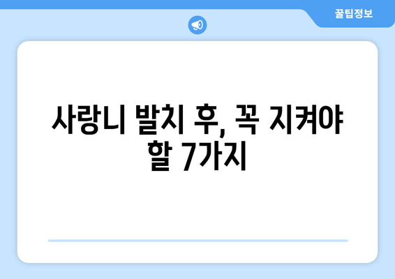 사랑니 발치 후 꼭 알아야 할 7가지 주의사항 | 사랑니, 발치, 회복, 관리, 통증, 부기, 붓기, 주의사항, 팁