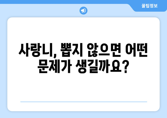 통증 없어도 고민해야 할까? 예방적 사랑니 발치 고려 가이드 | 사랑니, 발치, 치과, 예방
