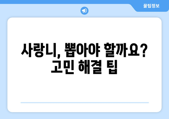 사랑니 통증 심화 전, 미리 대처하는 5가지 방법 | 사랑니 통증, 치과, 통증 완화, 예방