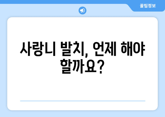 사랑니 발치, 꼭 알아야 할 정보| 과정부터 관리까지 완벽 가이드 | 사랑니, 발치, 통증, 회복, 주의사항, 비용