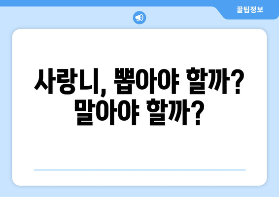 사랑니, 뽑아야 할까? 말아야 할까? | 사랑니 관리, 사랑니 발치, 사랑니 통증, 사랑니 치료