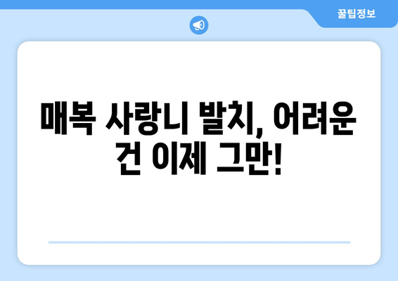 매복 사랑니, 이제 안심하고 발치하세요| 성공적인 발치를 위한 완벽 가이드 | 사랑니 발치, 매복 사랑니, 치과, 통증, 회복