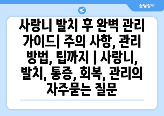 사랑니 발치 후 완벽 관리 가이드| 주의 사항, 관리 방법, 팁까지 | 사랑니, 발치, 통증, 회복, 관리