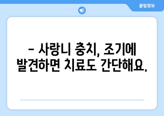 사랑니 충치, 이대로 방치하면 위험해요! 효과적인 정기 치과 검진으로 예방하세요 | 사랑니, 충치, 치과 검진, 구강 건강