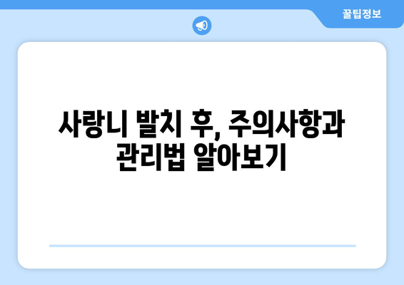 부산 매복 사랑니 발치, 안심 가이드| 과정부터 주의사항까지 | 사랑니 발치, 부산 치과, 통증 관리, 회복 가이드